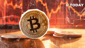 Bitcoin (BTC) Lost $2 Billion, Here's How