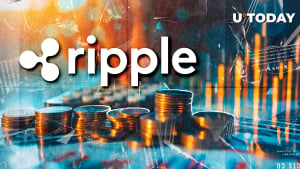 Ripple Should Start Preparing for IPO 'as Soon as Possible,' SBI CEO Says