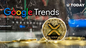 XRP Hits 2021 High on Google Trends as Price Cannot Stop Growing