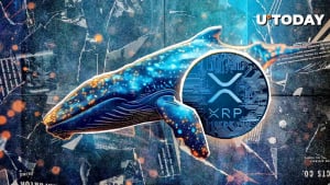 XRP Whale Activity Hits All-Time High as Price Eyes $3: Details