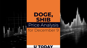 DOGE and SHIB Price Prediction for December 9