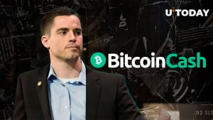 Bitcoin Cash Proponent Roger Ver Moves to Dismiss Indictment 