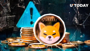 Crucial Anti-Scam Warning Comes From SHIB Team