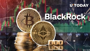 BlackRock Turns into High Ethereum Whale With .5 Billion Stake