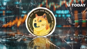 Important Call Issued to Dogecoin Node Operators, Here's Why