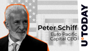 Peter Schiff Suggests Creating USA Coin