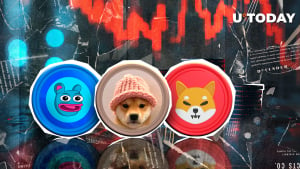 SHIB, WIF, BRETT: Top Meme Coins Losing Steam in Last Days of 2024