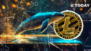 Litecoin Whale Activity Explodes: Is Major Price Swing Incoming?