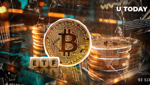 Bitcoin ETFs Record Positive Flows on Last Day of 2024