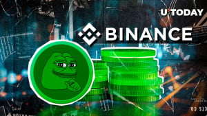 Massive 801.6 Billion PEPE Stun Largest Exchange Binance — What's Happening?