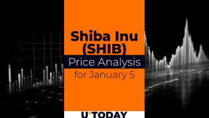 SHIB Price Prediction for January 5