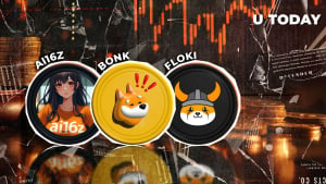 Meme Coins Decimated Amid Crypto Massacre: BONK, FLOKI, AI16Z Hit Worst