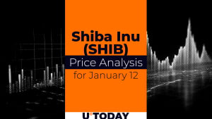 SHIB Price Prediction for January 12