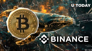 1,850 Bitcoin Stun Binance in Surprising Whale Move: Details