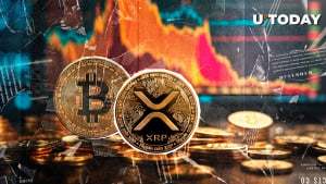 $250 Million Liquidated: Bitcoin and XRP Lead Bear Massacre