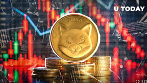 Shiba Inu (SHIB): Out of Top 15 as Price Plummets