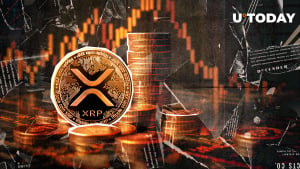 1,000,000 XRP Drop: Why Did Network Lose So Much?