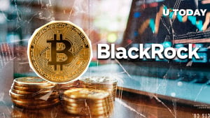 Blackrock now holds 2.7 % of Bitcoin supplies (BTC)