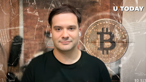 Ex-Mt. Gox CEO Underscores Bitcoin's Crucial Role: Details