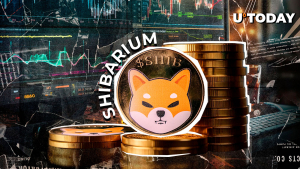 Shiba Inu Key Developer Makes Important Shibarium Clarification: Details