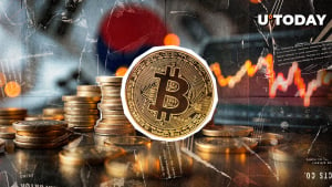 Bitcoin Crash: Market Clear, OI Development Damaged, Information Says