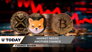 43% XRP Price Drop: Will Whales Buy Its Bottom? Shiba Inu (SHIB) on Verge of Adding Zero, Bitcoin (BTC) Surprisingly Strong