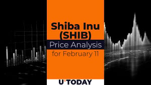 SHIB Price Prediction for February 11