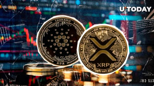 XRP and Cardano (ADA) to Heal Crypto Market, Believes Top Trader