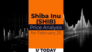 SHIB Price Prediction for February 25