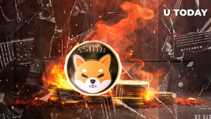 Shiba inu skyrockkets 847 % in the burning rate, where 31,010,900 Shab disappears