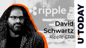 Ripple CTO is the main user profits of the Ripple Asset icon