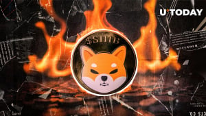 58,303,050 SHIB Burned as Shiba Inu Registers Impressive Weekly Gains