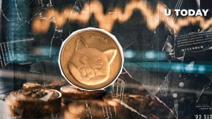 Shiba Inu (SHIB): The losses pay the traders in the short term, the data shows