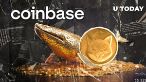 Coinbase Stunned by Mysterious 151,942,008,799 Shiba Inu (SHIB) Transfer