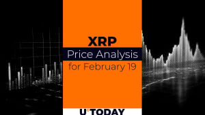 Predicting the XRP price on February 19