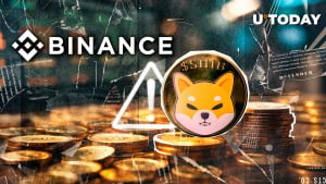 Crucial Shiba Inu Binance Alert Issued; Here's Why