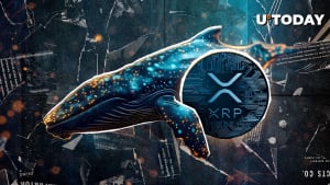 XRP what alert: 380,084,007 xrp was transferred in minutes