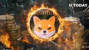 SHIB Burns Skyrocket 1,028%, 20,633,494 SHIB Gone Forever