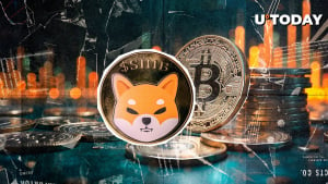 'SHIB Is Our BTC,' Shiba Inu Team Issues Bullish Statement Amid Market Turbulence