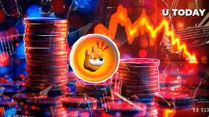 BONK Meme Coin Amid Worst Performers