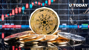 Cardano (ADA) Skyrockets 1,700% in Volume, What's Going On?