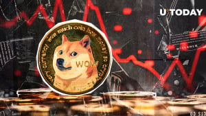 Dogecoin Breaks Critical Support After 13% Price Decline