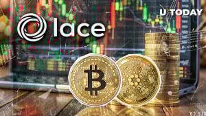 Cardano (ADA) Whales Accumulate 9M Value of ADA in 20 Days