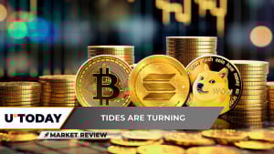 100,000,000 DOGE Simply Acquired by Whales: Dogecoin to Moon?