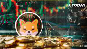 99 Trillion Causes for Shiba Inu To not Add Zero Regardless of Value Drop