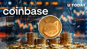 Shiba Inu Coin to Add Zero? SHIB Neighborhood Ought to Know This