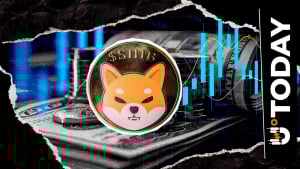 Shiba Inu Eyes Huge Value Transfer Amid 45,201,400,000 SHIB Wipe Out – U.Right this moment