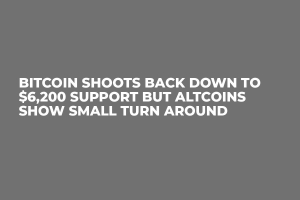 Bitcoin Shoots Back Down to $6,200 Support But Altcoins Show Small Turn Around