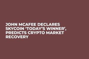 John McAfee Declares Skycoin ‘Today’s Winner’, Predicts Crypto Market Recovery  