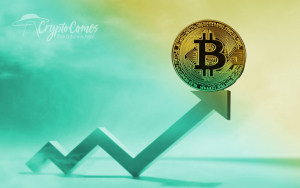 Bitcoin Price Increase: Actual Reversal or Dead Cat Bounce? Bitcoin Price Increase: Actual Reversal or Dead Cat Bounce?